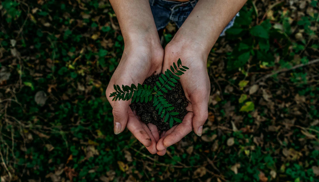 The Role of Smart Gadgets in Sustainable Living